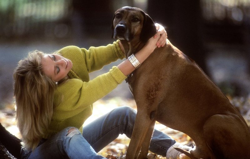 Светлана, 33 года, 1 размер груди